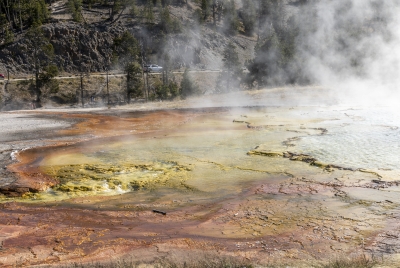 Midway Geyser Basin Yellowstone NP 2024